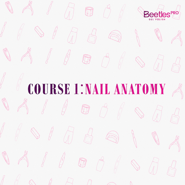 Nail Anatomy Fundamentals for Nail Technicians
