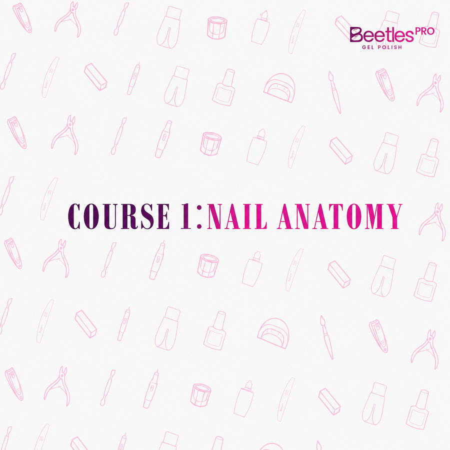 Nail Anatomy Fundamentals for Nail Technicians