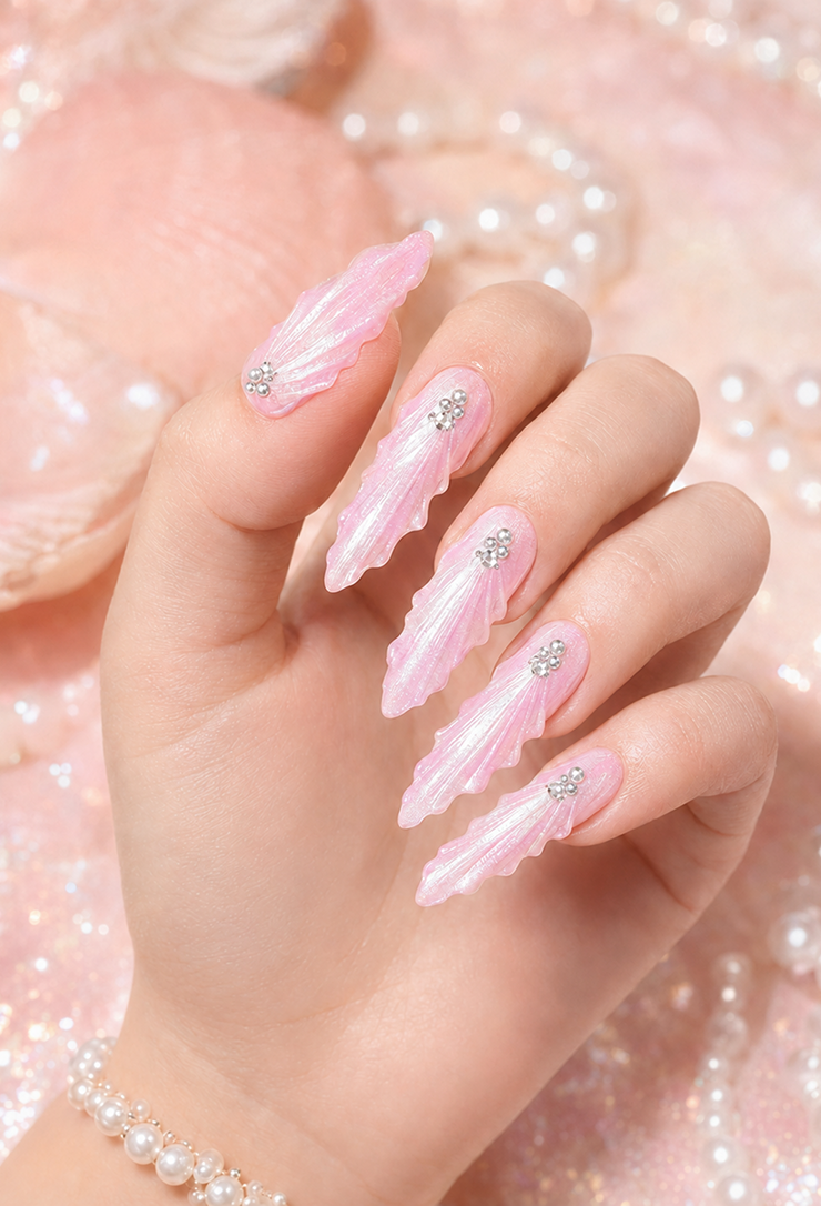Blush Seashell