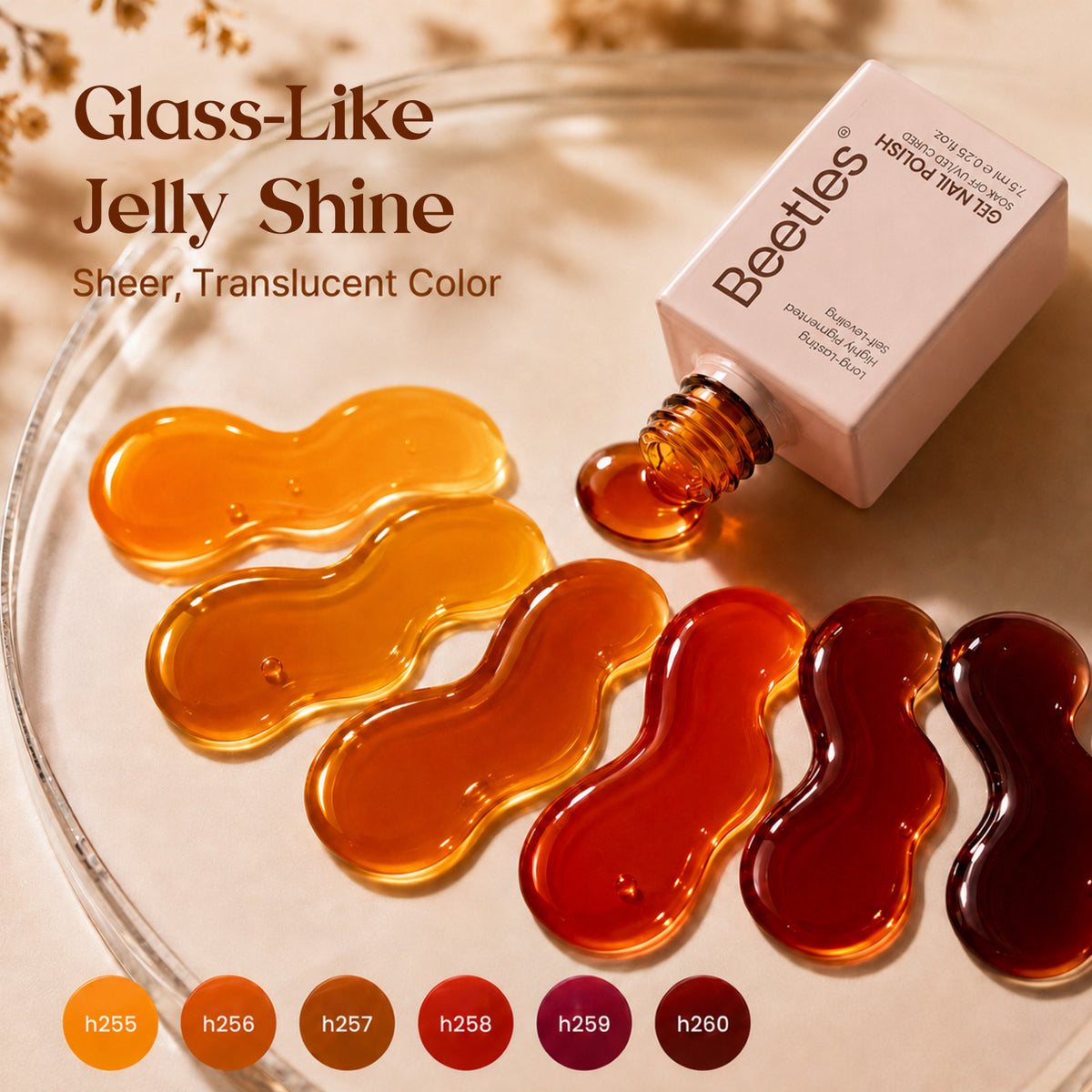 Beetles Tortoise Fall Jelly 6 Colors Gel Nail Polish Set Transparent Fall Colors Nails
