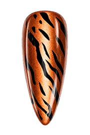Apply a layer of glossy top coat and cure for 60–90 seconds.